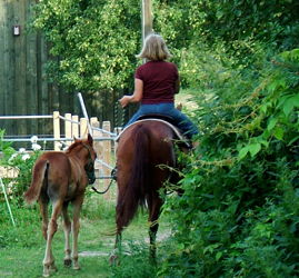 ausreiten