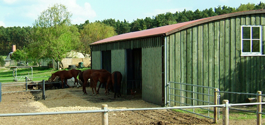 halle